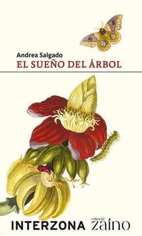 El sueño del árbol