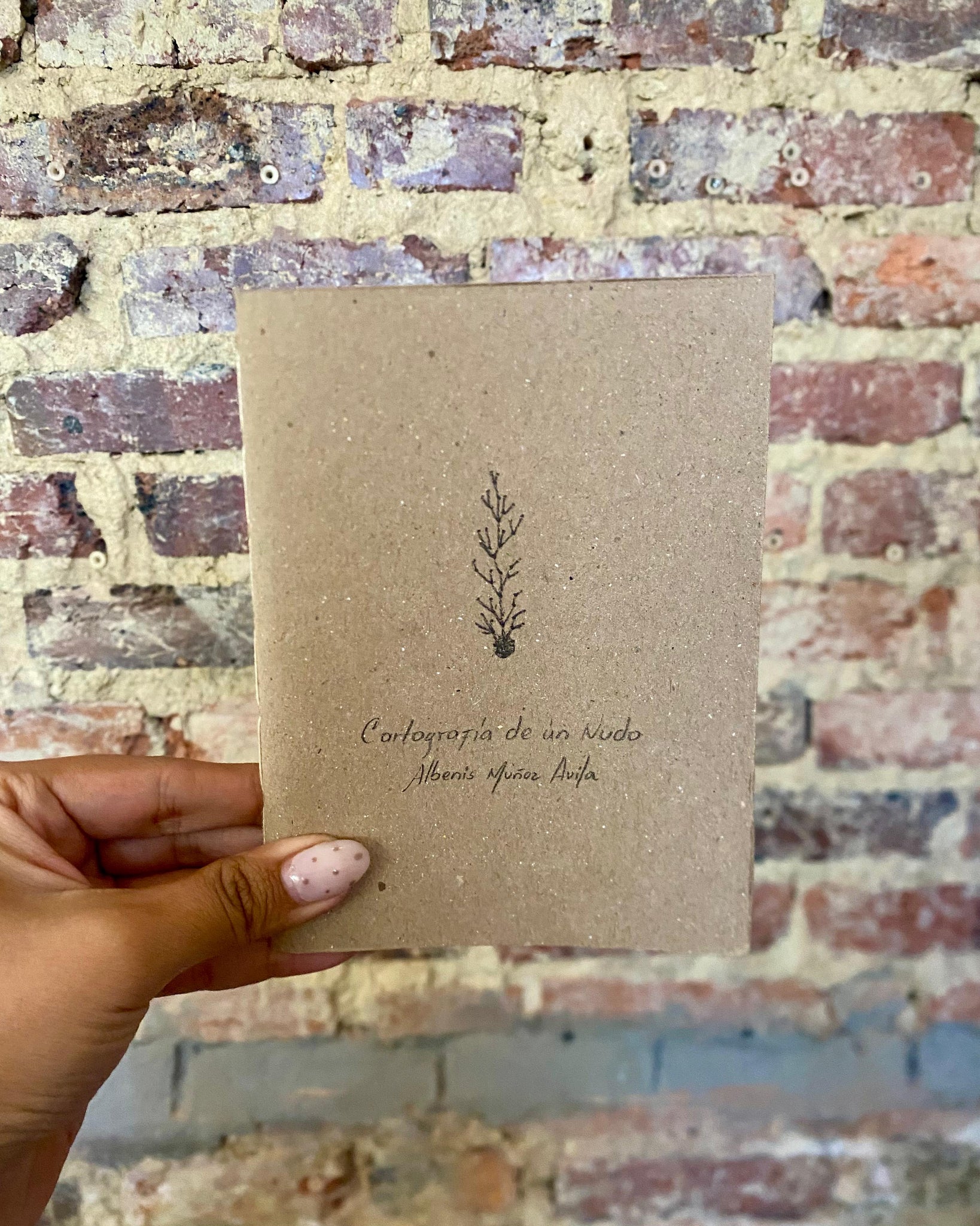 Cartografía de un nudo