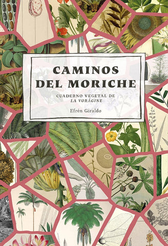 Caminos del moriche. Cuaderno vegetal de La Vorágine