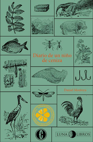 Diario de un niño de ceniza